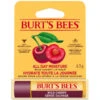 B&M Burt's Bees Wild Cherry Lip Balm -B&M Shop 402222 burts bees wild cherry lip balm